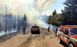 İzmir Buca’da orman yangını çıktı