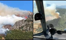 Hatay Antakya’da orman yangını