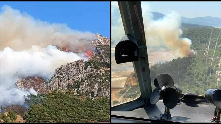 Hatay Antakya’da orman yangını