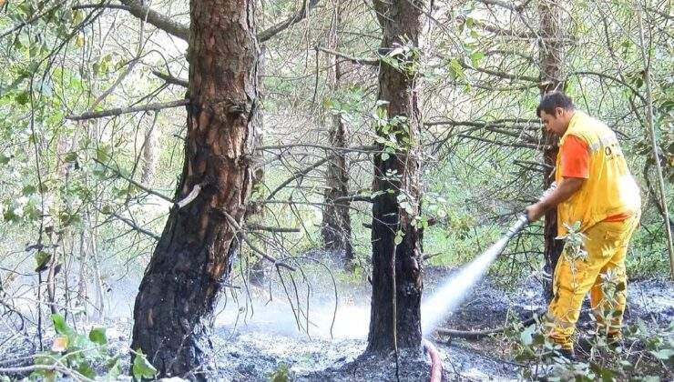 Bursa Uludağ’da orman yangını çıktı